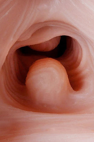 Tantaly Cecilia fair 3.0 18.7LB Durable Butt Only Sex Doll Tantaly Cecilia fair 3.0 18.7LB Durable Butt Only Sex Doll