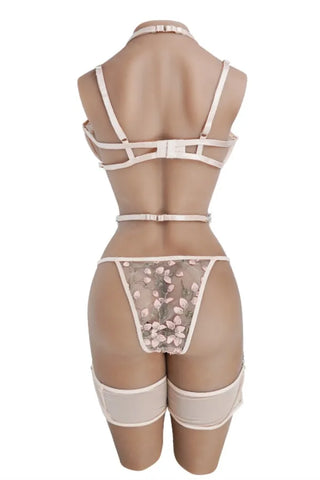 aurora tits aurora tits