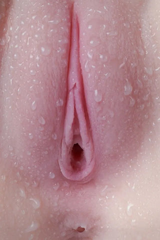 Tantaly Cecilia fair 3.0 18.7LB Durable Butt Only Sex Doll Tantaly Cecilia fair 3.0 18.7LB Durable Butt Only Sex Doll